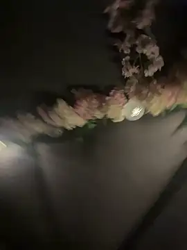 Show modela anal-bitch84 na web-kameri
