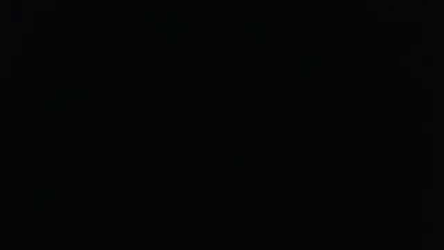 Show de webcam de novilho18piroc