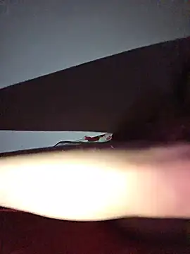 Chat XXX en directo de altinya