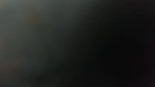 SilverandFoxのウェブカメラショー