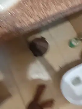 Chat +18 de UAjit ao vivo