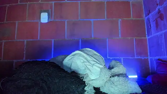 Cata-angel Chat XXX in diretta