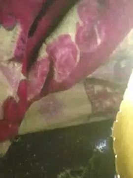 S7LEALTADPERVLIMA7 élő XXX-chatje
