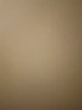 RXllwxll344 webcam show