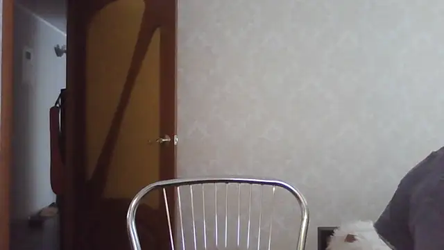 Kashtanka_ élő XXX-chatje