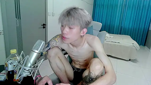 Show de webcam de KPL-11