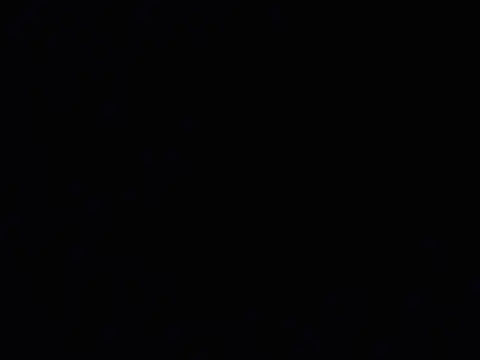 Canelo_444 Webcam-Show