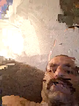 fitguy4u's Live XXX Chat