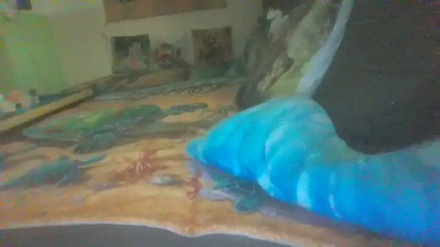 diaper90 webcam show