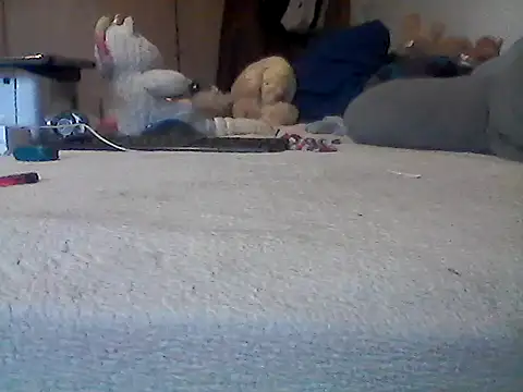 Show Webcam de Silencio26