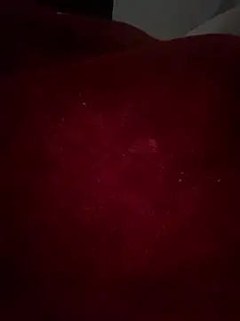 GusanoDelicioso 现场XXX聊天