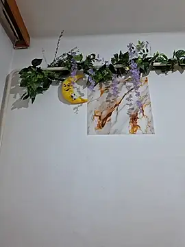 Вебкам-шоу Nika_aa