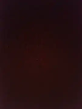 Bacongodxxx's Live XXX Chat