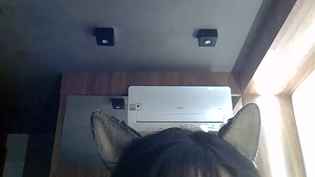 Show de webcam de SkinnyKitten