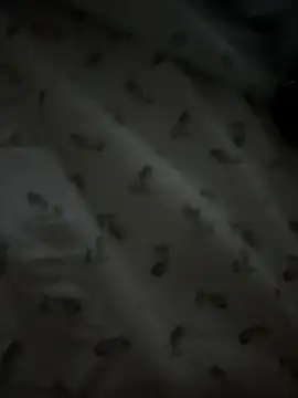 maialin69 Webcam show