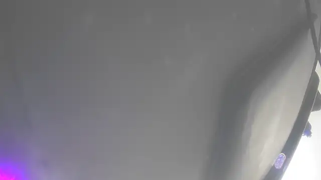 Shrimpsonspun661 Show in webcam