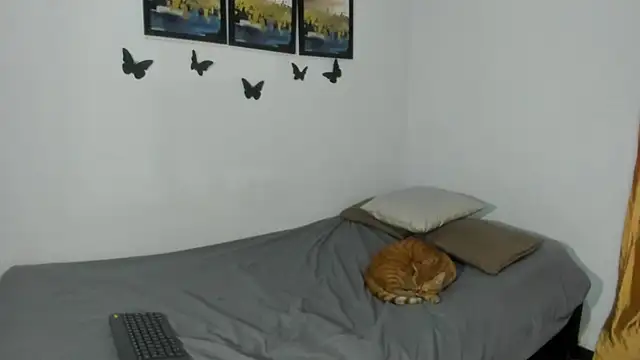 Živý XXX chat Vlad__night