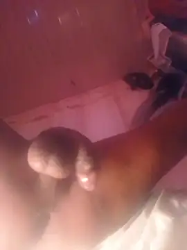 Bbcnjb40's Webcam Show