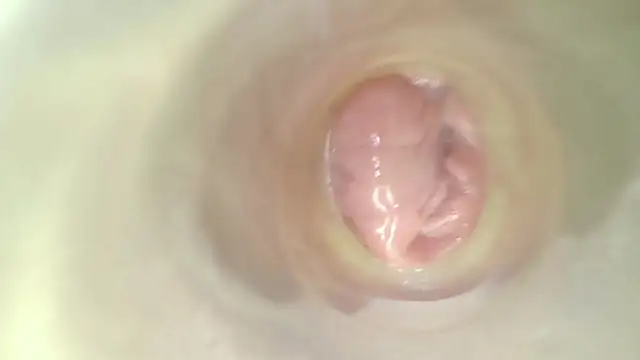 karol_stom 现场XXX聊天