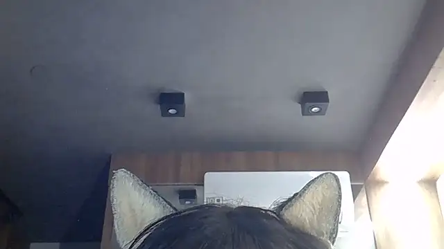 SkinnyKitten 现场XXX聊天