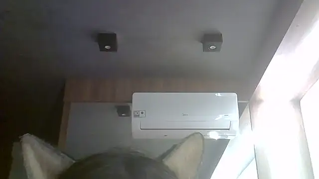 Show de SkinnyKitten na webcam