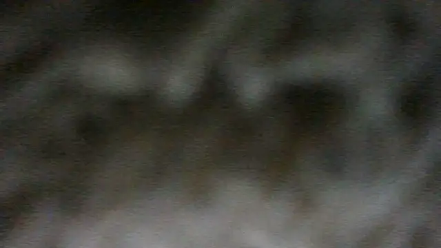 Chichoplus1 Pertunjukan Webcam