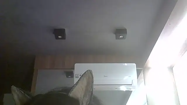 Chat XXX Live SkinnyKitten