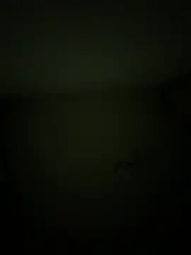 Show webcam de Big_Dick_Titan