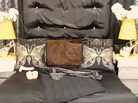 Playfullmaniac Live XXX-Chat