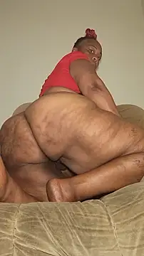 AllLeggs Live XXX-chat