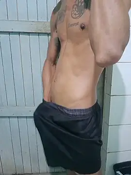 Show de webcam de lcsexy45