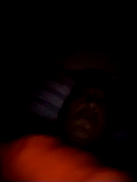 Fjcos Webcam show