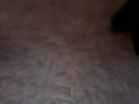 saralaw22's Live XXX Chat