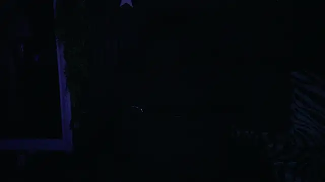 newjeffのライブXXXチャット