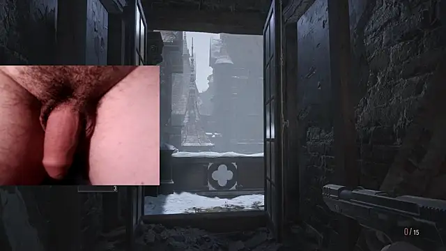 WARDOX5n Webbikameraesitys