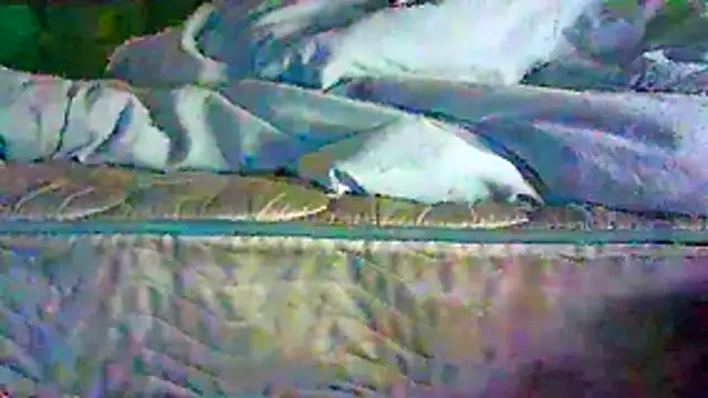 CR3M3_FIR3 Live XXX Chat