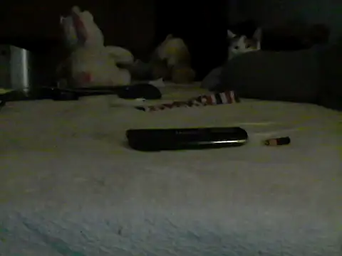 Silencio26 Chat XXX in diretta