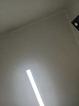chicoguapo8 live XXX chat
