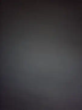 SingingTrunksn Webbikameraesitys