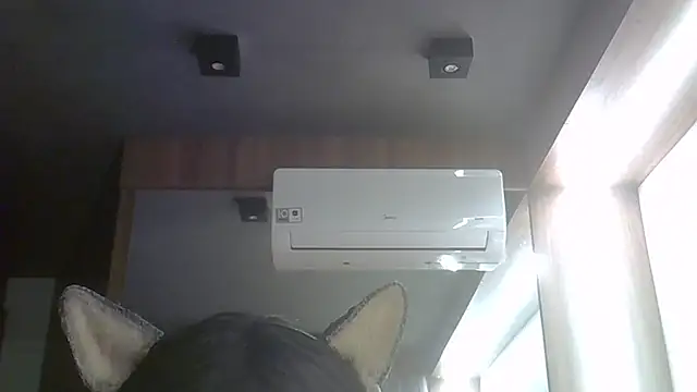 SkinnyKitten Webcam-Show