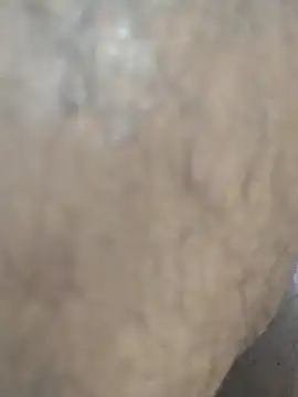 Chat +18 de Idontmind367 ao vivo