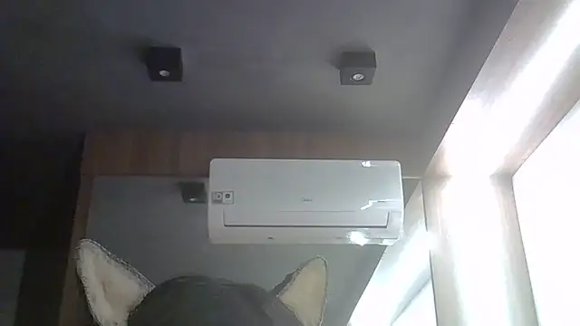 Show de SkinnyKitten na webcam