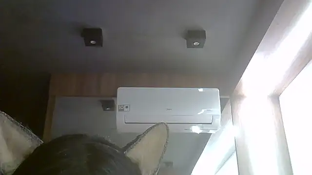 Chat +18 de SkinnyKitten ao vivo