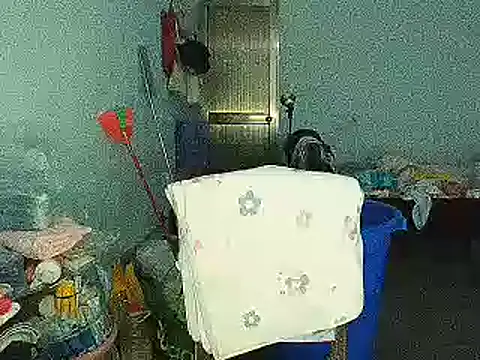 RebelAura 网络视讯表演