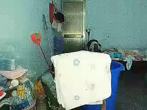 RebelAura 网络视讯表演