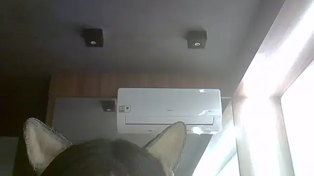 Show de webcam de SkinnyKitten