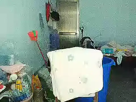 RebelAura 网络视讯表演