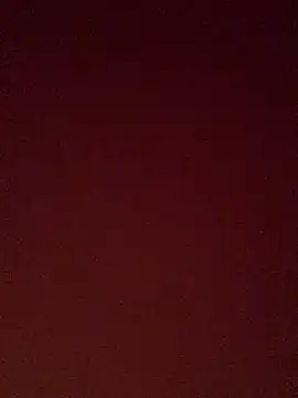 pinkflag's Live XXX Chat