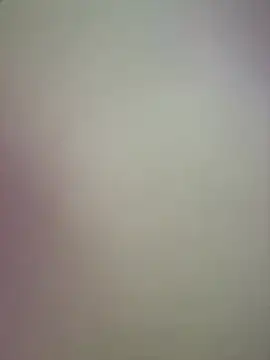 Lovensetest 网络视讯表演