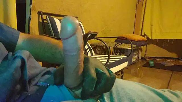 PNWbwc Show Webcam